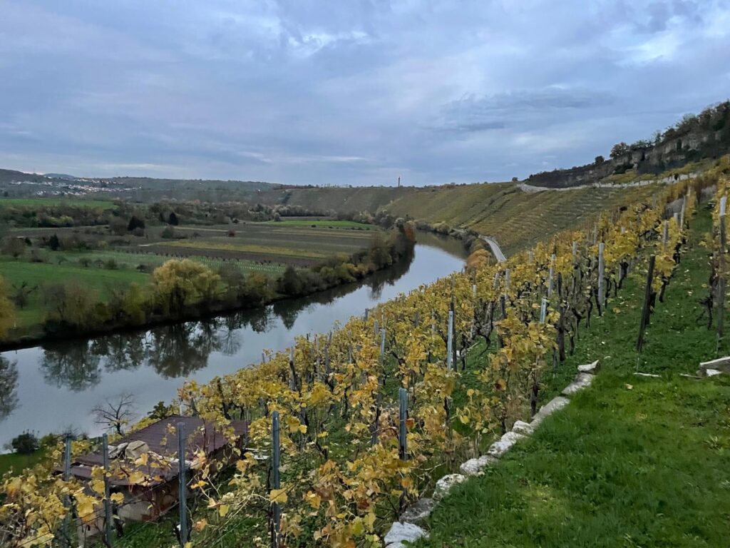 Ausblick über einen Weinberg an einem Fluss