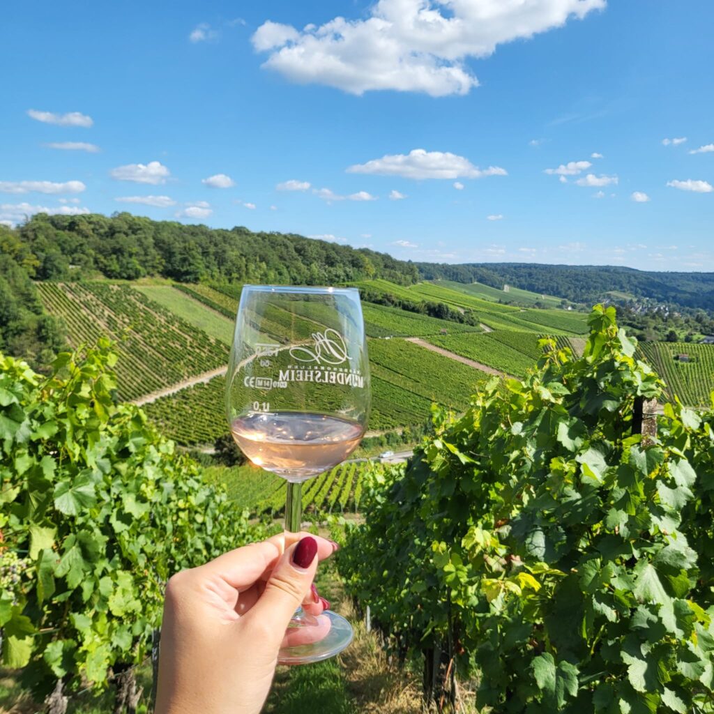 Ein zur Hälfte gefülltes Weinglas vor einer Weinberg-Landschaft